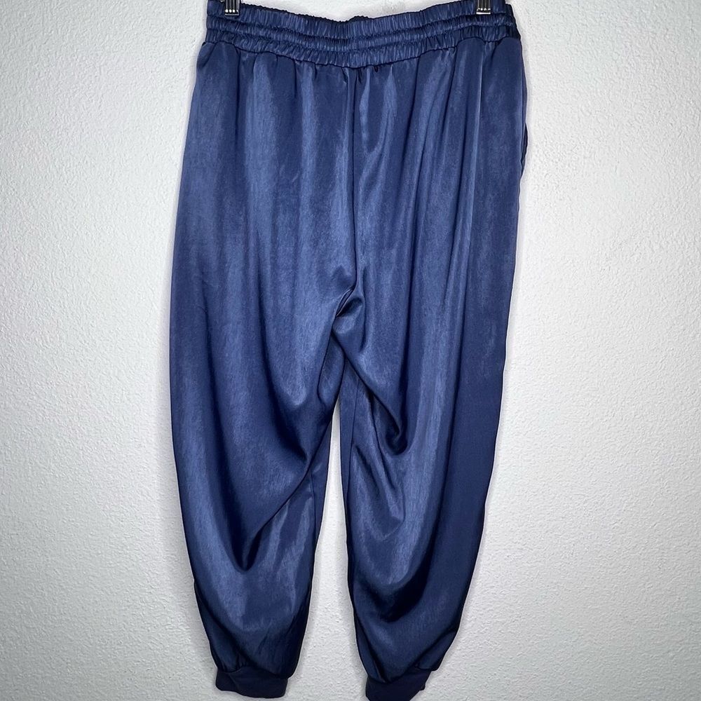AnyBody Jogger Pants - Picture 4 of 10